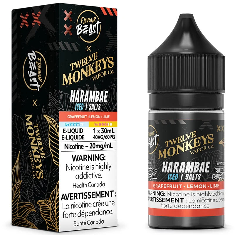 Flavour Beast x Twelve Monkeys